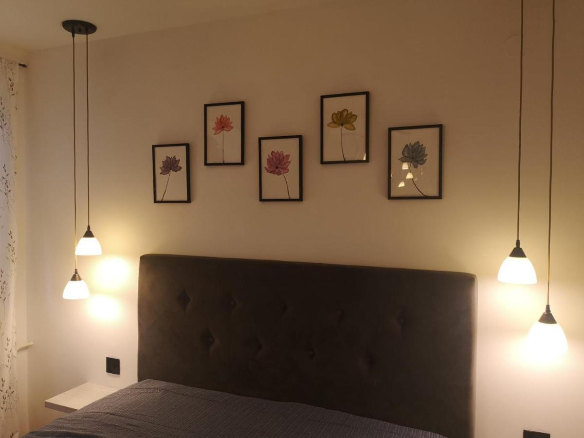 Apartman Darvin / Lux Belgrado Exterior foto